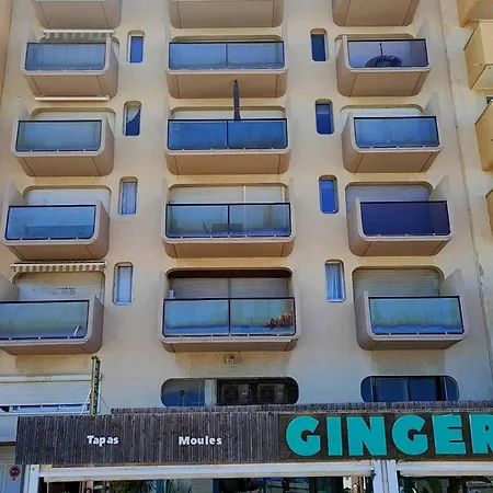 Studio Vue Mer, Parking Et Climatisation - Fr-1-696-150 公寓 卡内